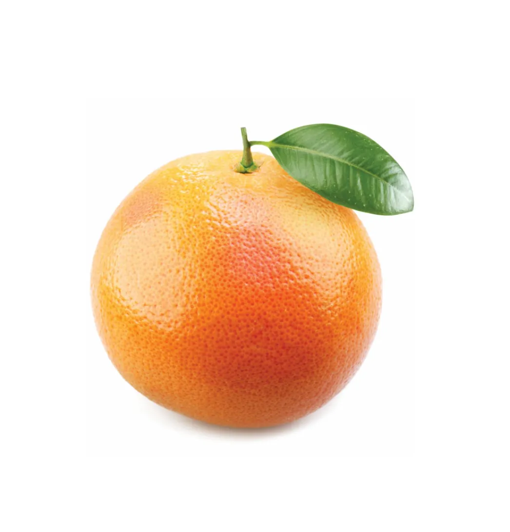 Grapefruit doTERRA 15 mL Essential Oil